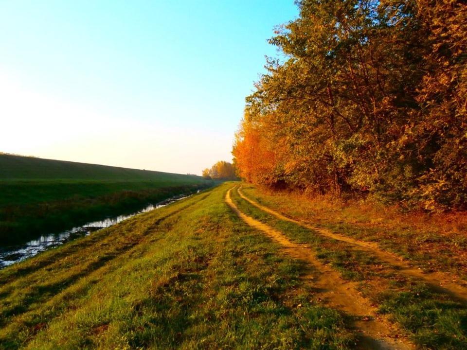 Šoporňa Relax Inn מראה חיצוני תמונה